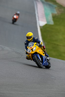 PJ-Motorsport-2019;donington-no-limits-trackday;donington-park-photographs;donington-trackday-photographs;no-limits-trackdays;peter-wileman-photography;trackday-digital-images;trackday-photos